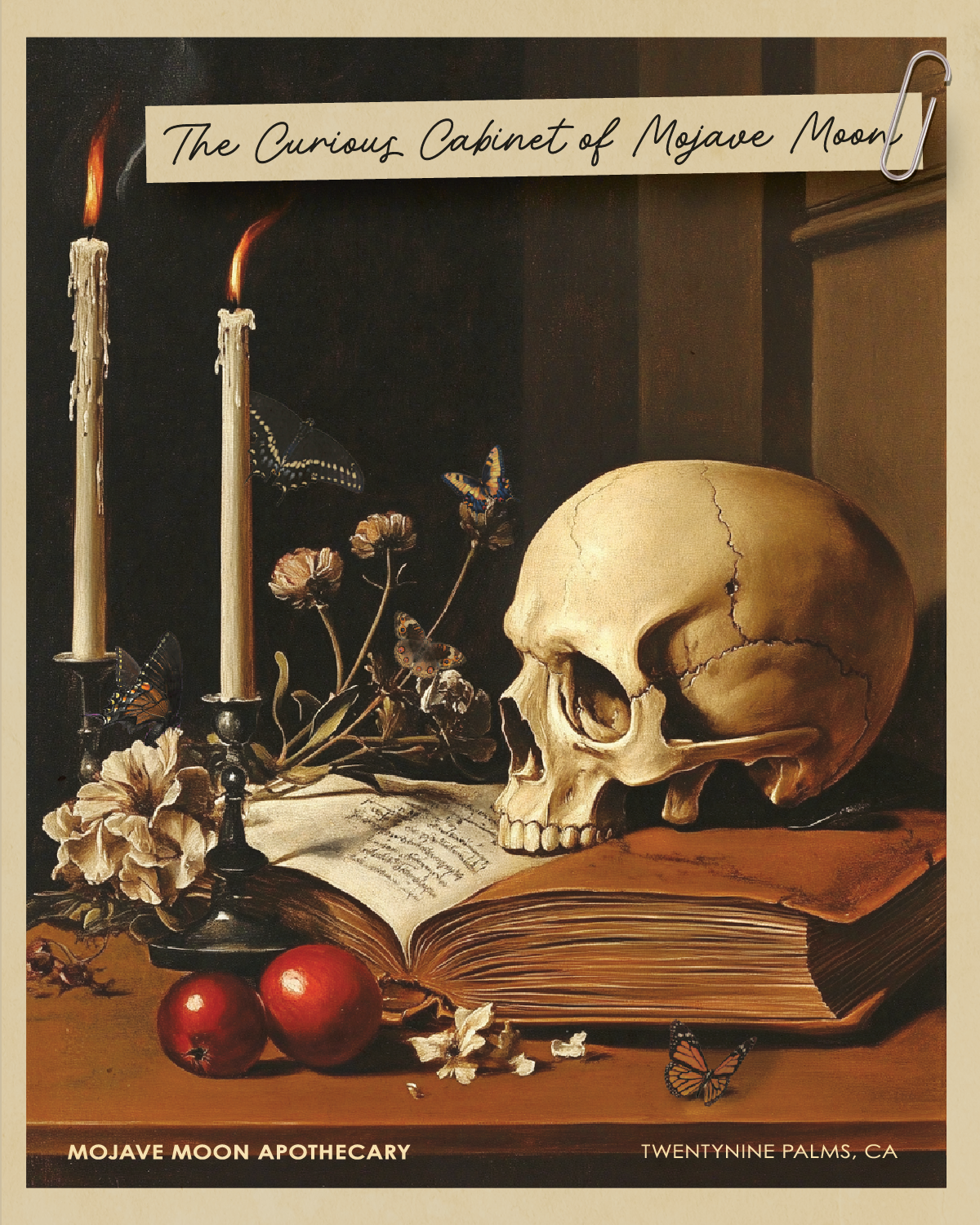 The Curious Cabinet of Mojave Moon - Dark Academia Inspired Exhibit