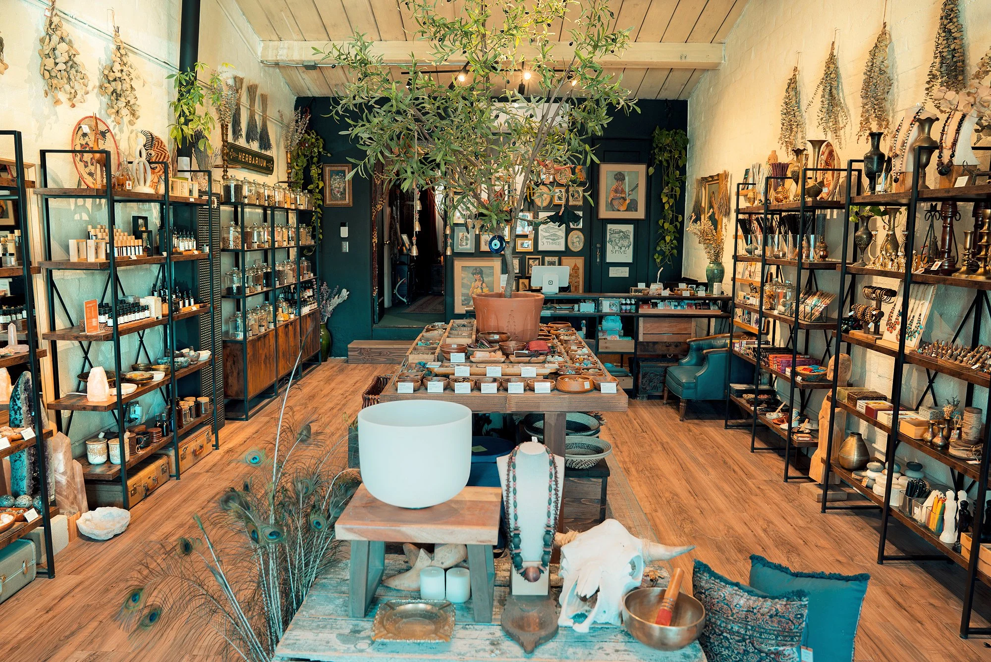 Explore hundreds of crystals, mineral specimens, handcrafted fragrances, books, herbs, and natural curiosities at Mojave Moon Apothecary in the Twentynine Palms Historic Plaza.