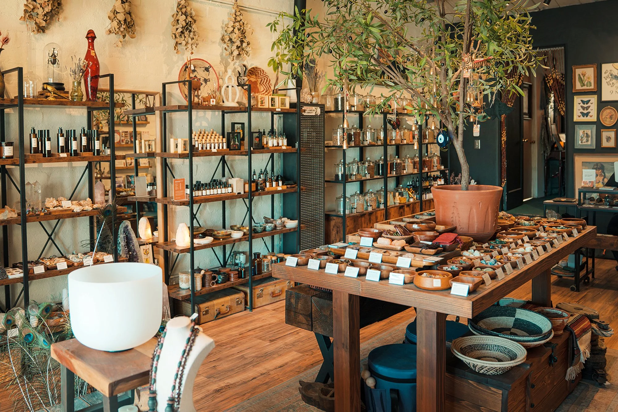 Inside Mojave Moon Apothecary in Twentynine Palms, featuring handcrafted fragrances, crystals, minerals, herbs, and natural curiosities just minutes from Joshua Tree National Park.