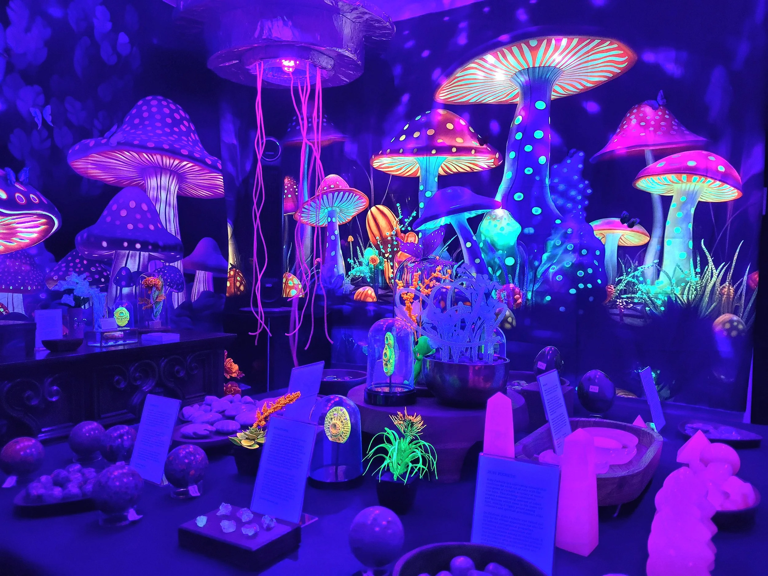 Planet Zelatron, an immersive blacklight exhibition inside the Mojave Moon Museum of Natural Curiosities, featuring fluorescent minerals, meteorites, glowing plants, and interactive displays.
