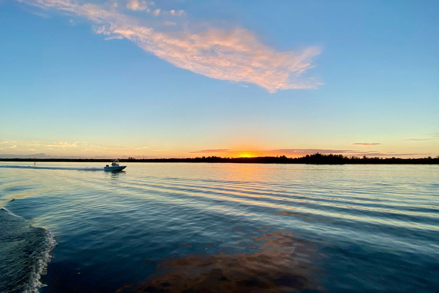 River Explorer Boat Tours - Private Boat Tours. See Dolphins, Manatee ...