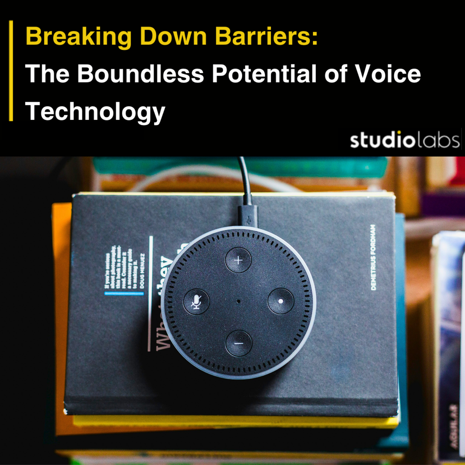 Voice Unleashed 3.png