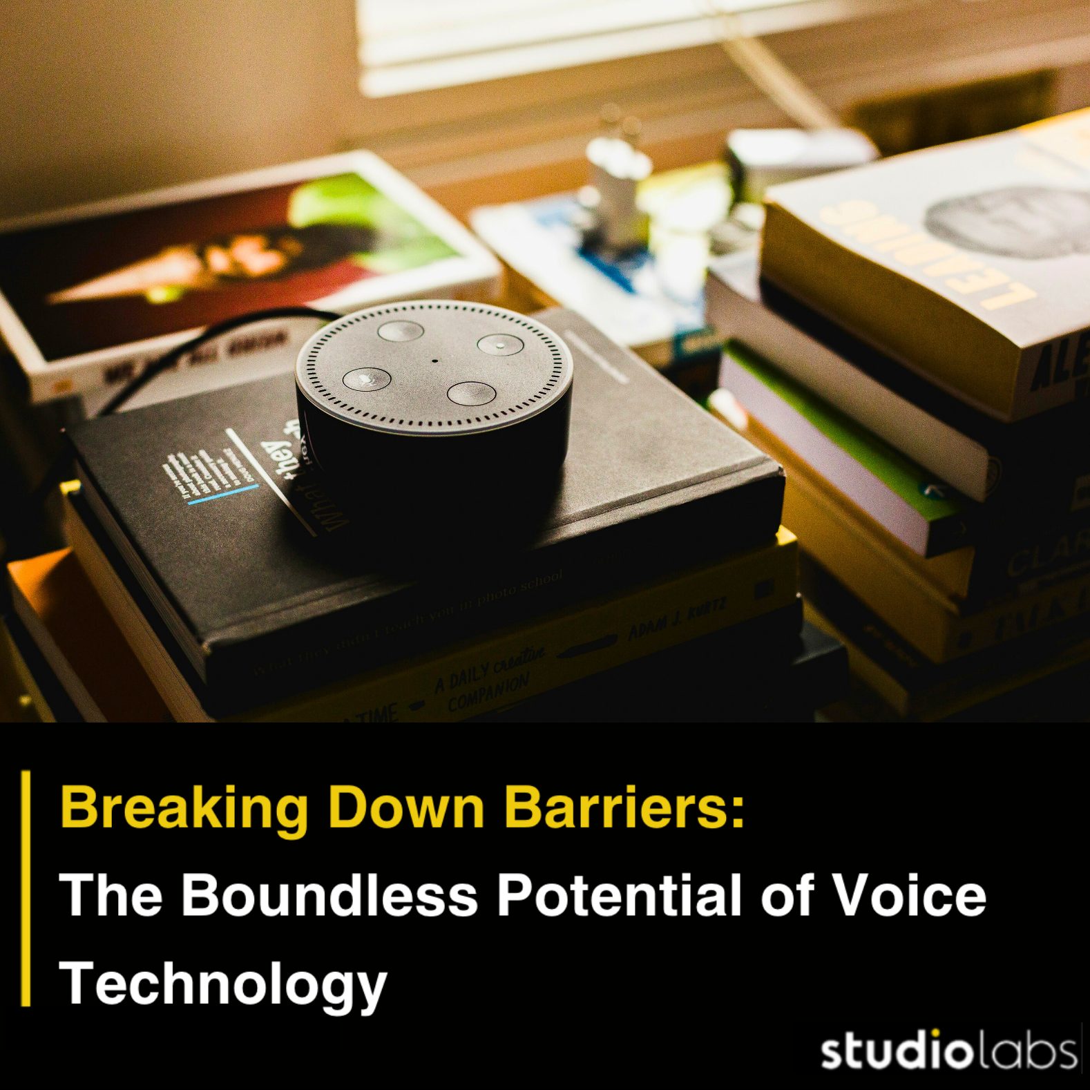 Voice Unleashed 2.png