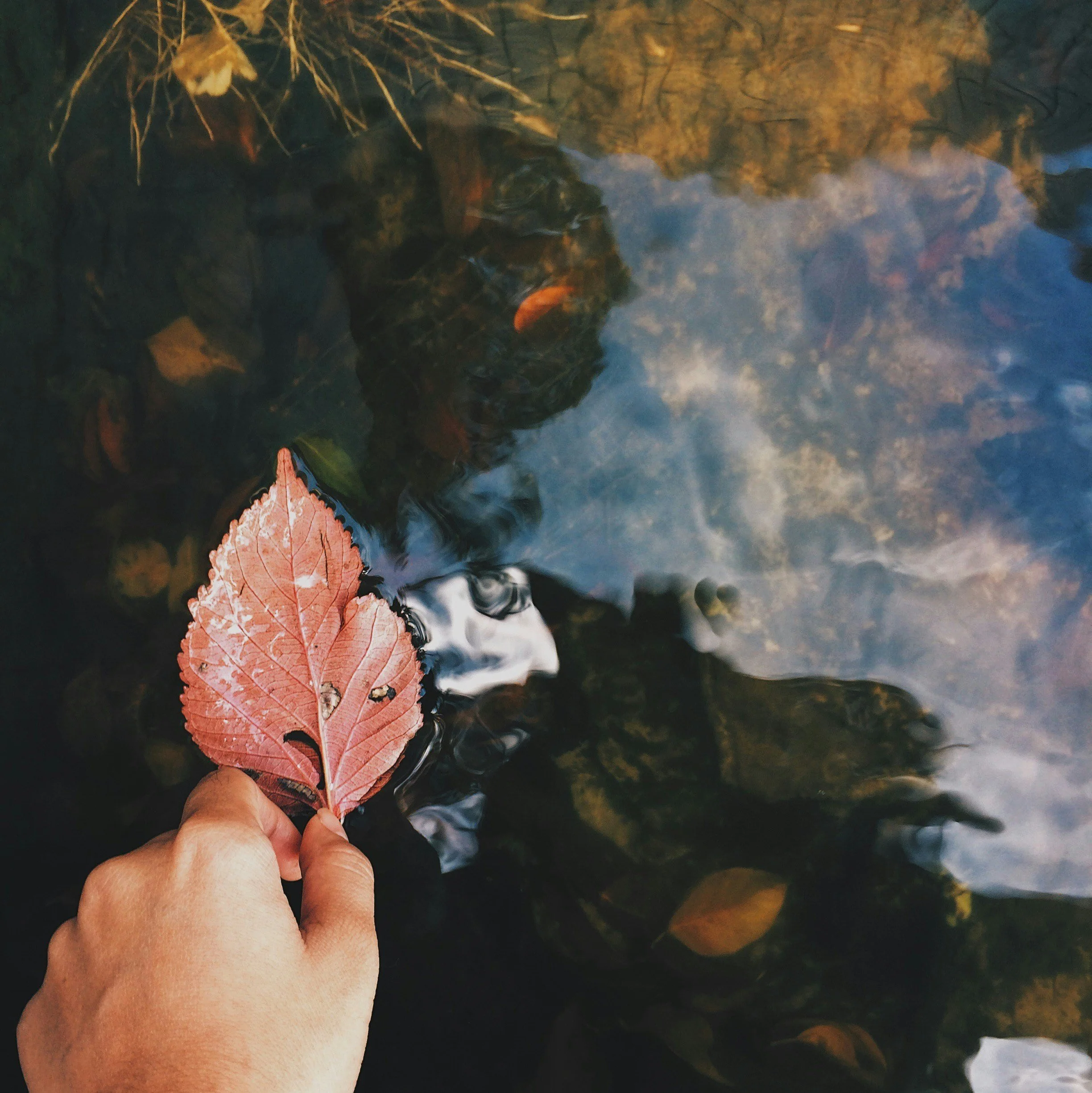 The Power of Noticing Without Trying to Fix Yourself