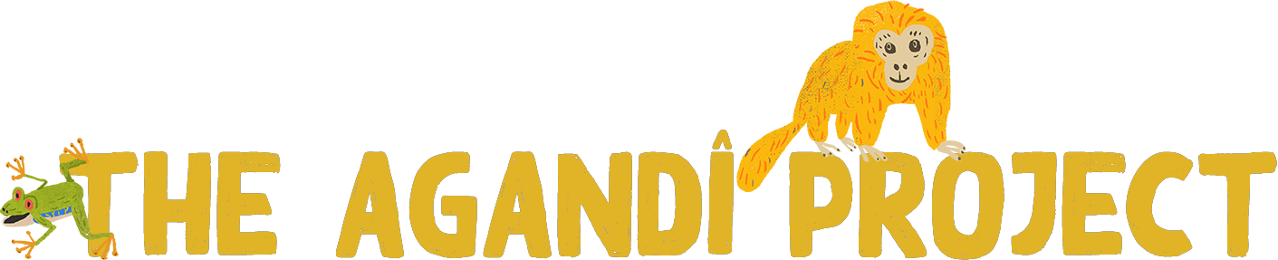 The Agandi Project