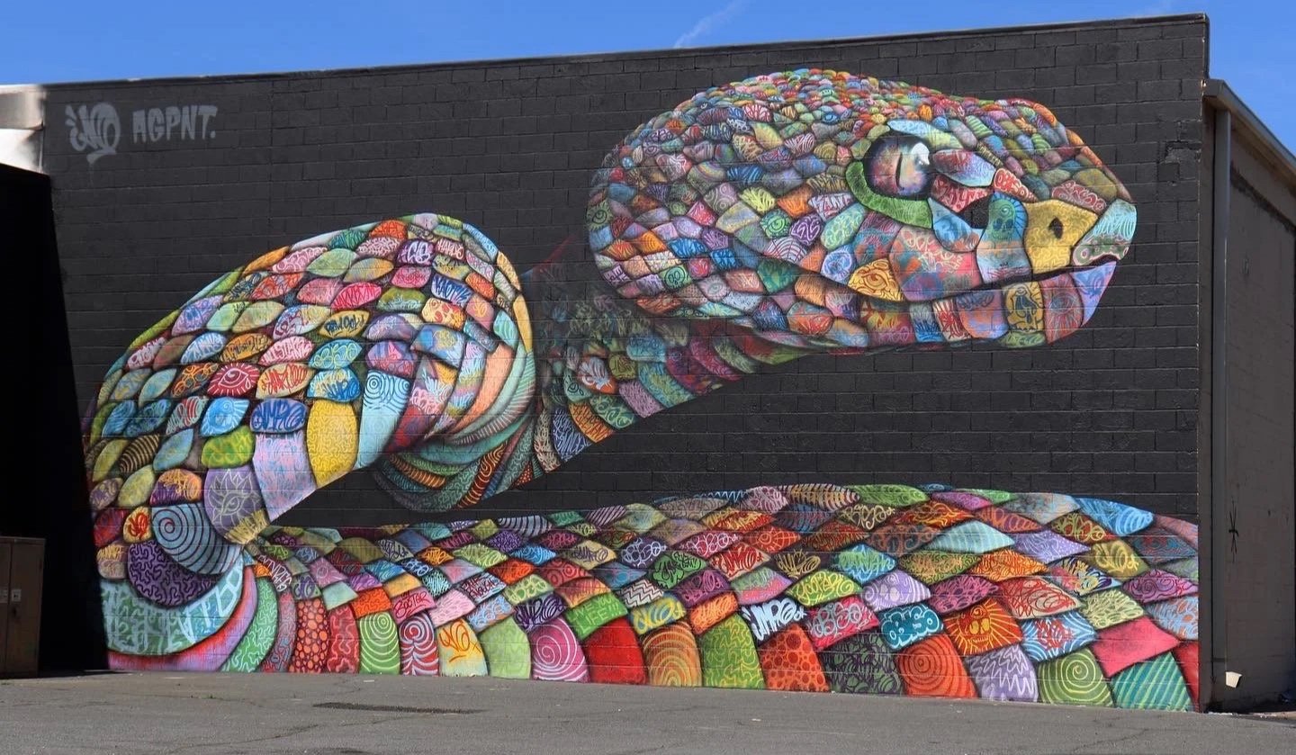 Colorful mural of a turtle painted on a brick wall.