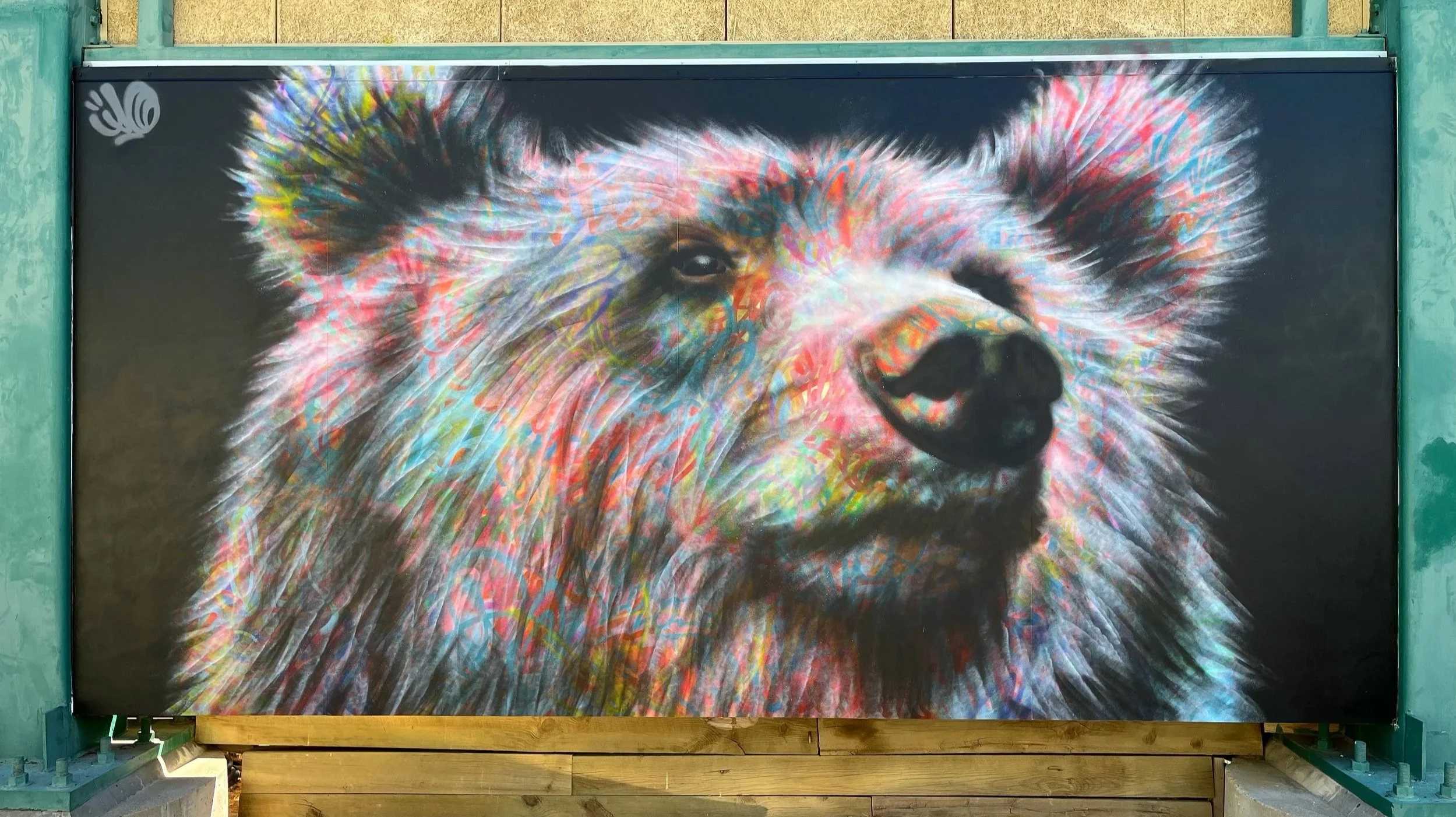 Colorful graffiti art of a close-up of a dog's face, with a dark background and vibrant, swirling colors outlining the fur.