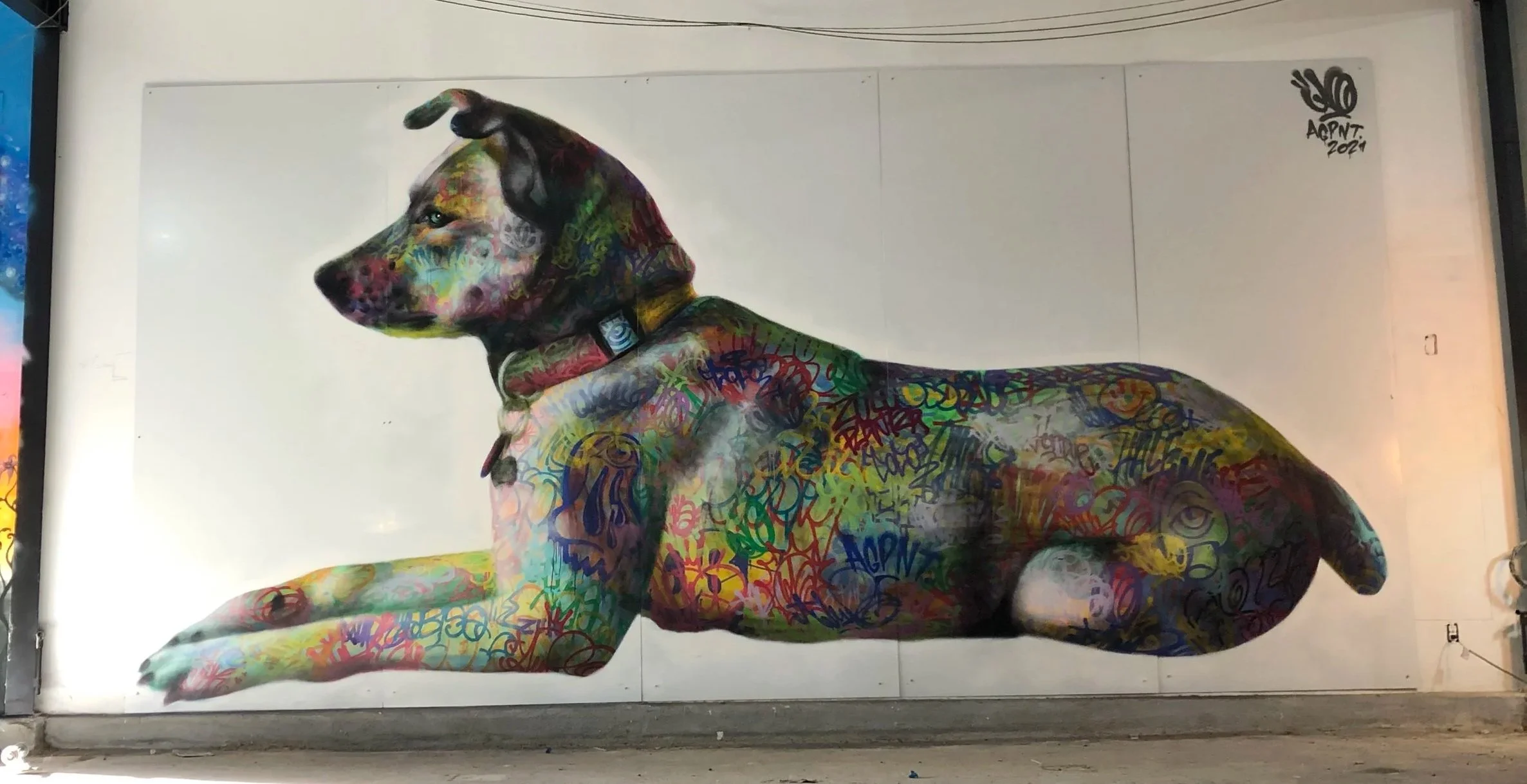 Colorful graffiti-style portrait of a dog lying down, with multicolored scribbles and tags covering its body, against a plain white background.
