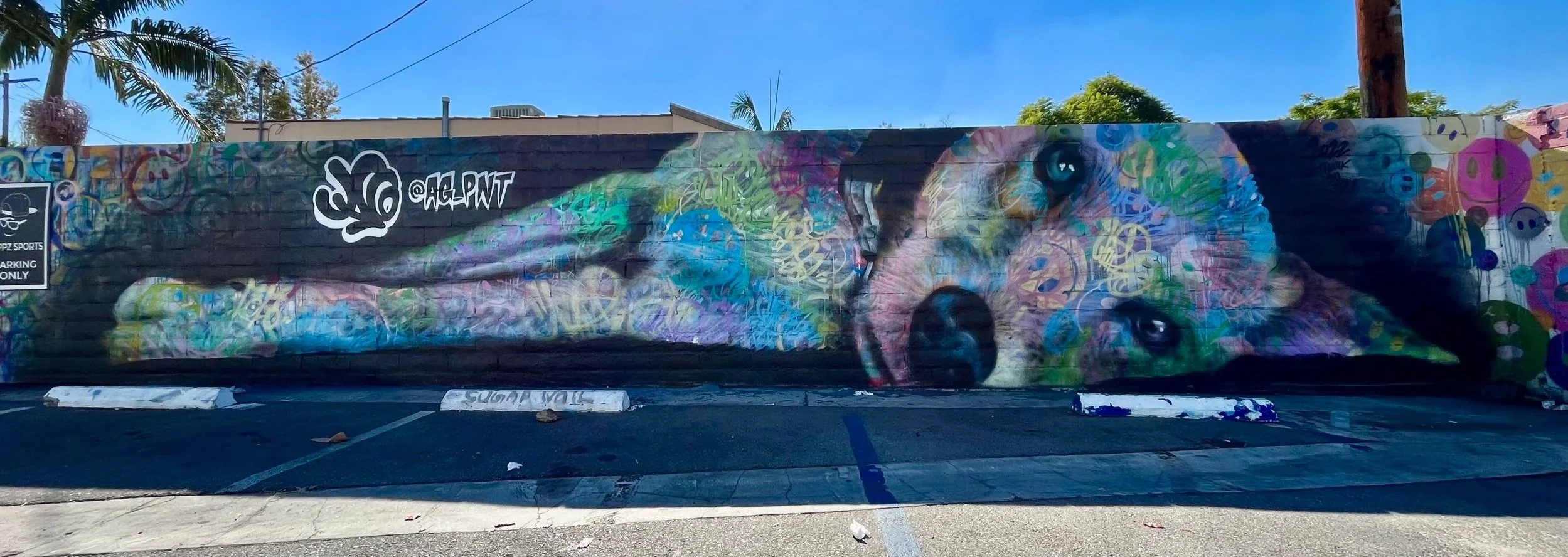 Colorful mural of a sleeping dog painted on a brick wall with blue sky and palm trees in background.