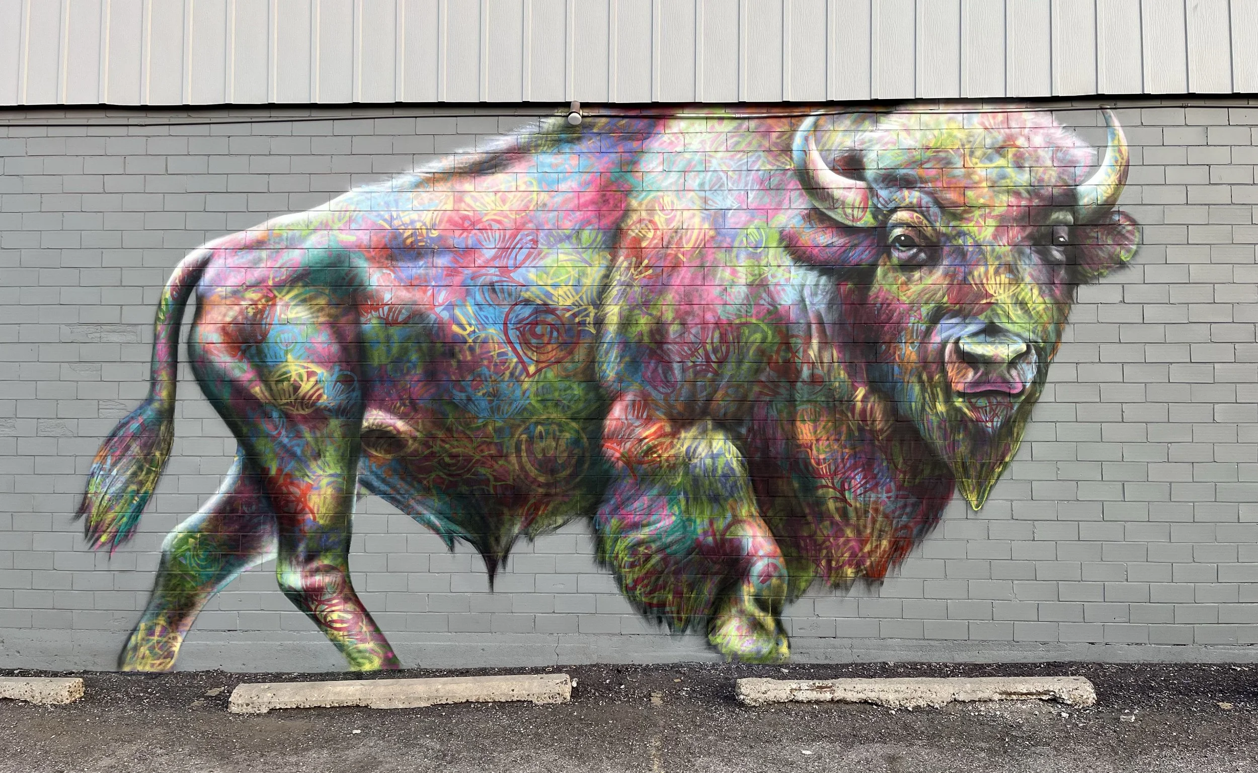 Colorful mural of a bison painted on a brick wall, featuring vibrant abstract patterns and graffiti-style artwork.