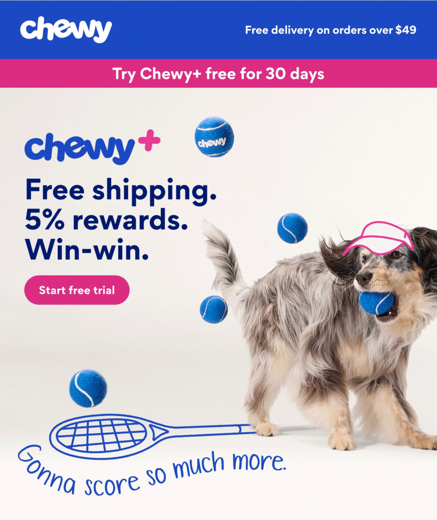 “Chewy+” Launch