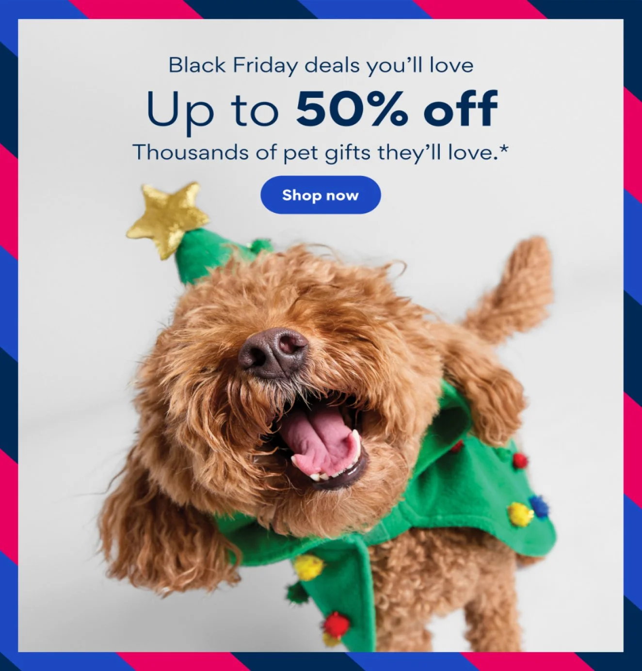 2024 Holiday Campaign