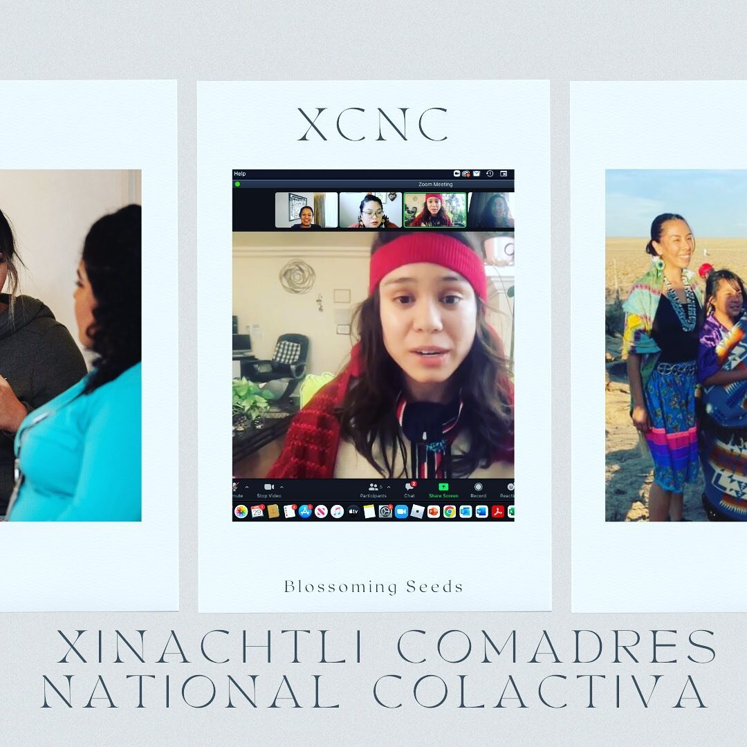 The Xinachtli Program was born in Highland Park, California.  Sara, with the support from Christina Regalado from the California Wellness Foundation, began to write and to establish this program with a core group of 13 girls.  @tempt_taintedlove @tia