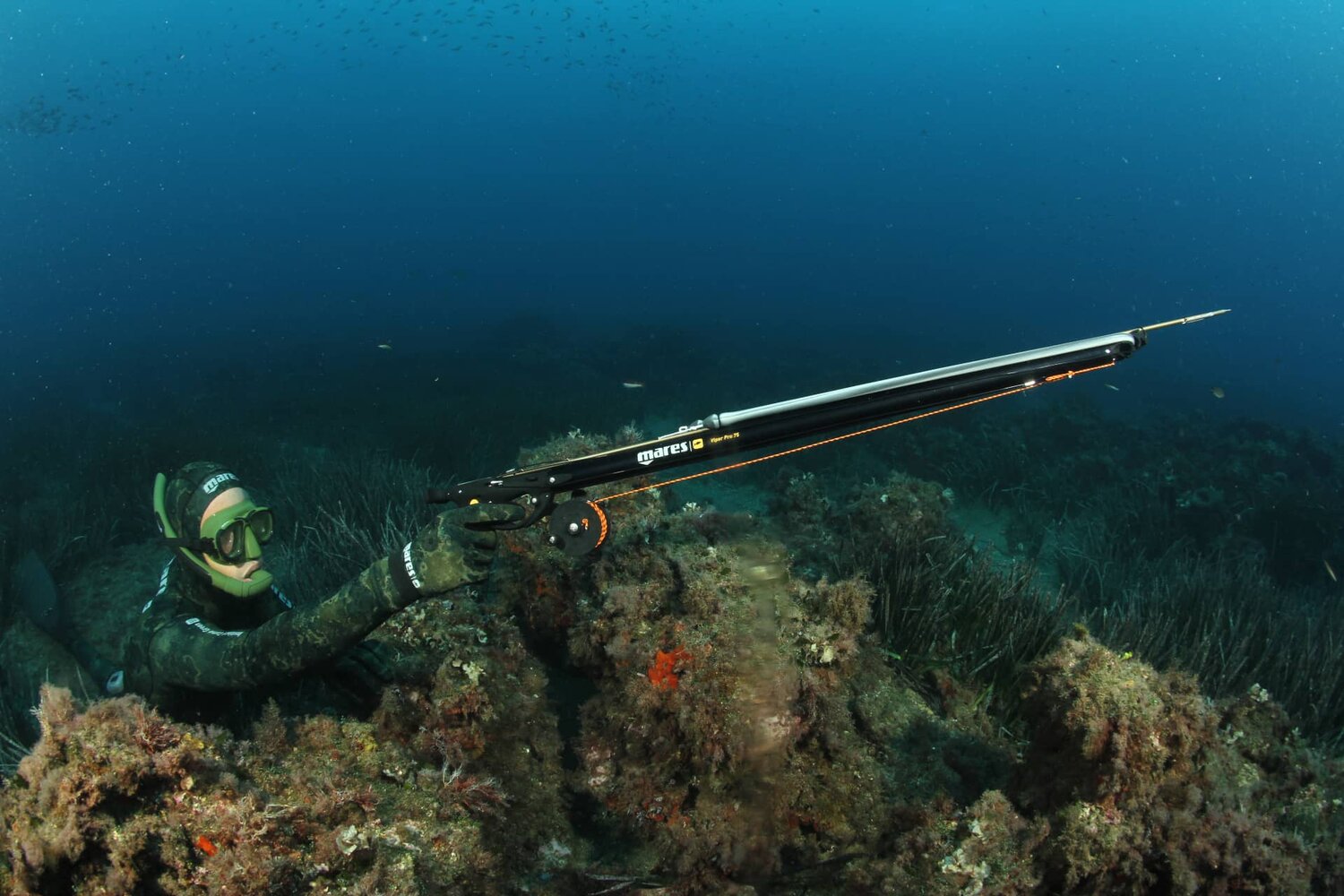 Spearfishing Specialty Course — Underwater Connection