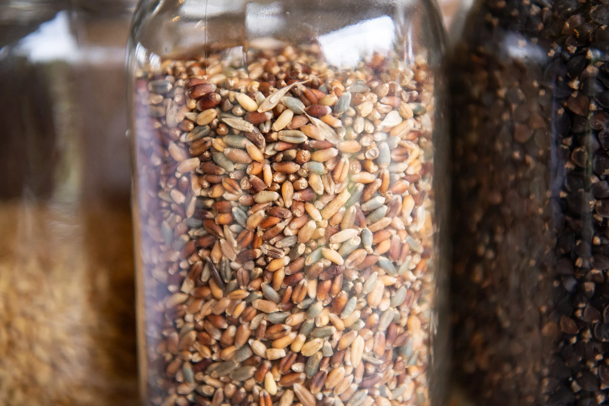 Close-up of a glass jar filled with mixed bird seeds, with other seed containers visible in the background.