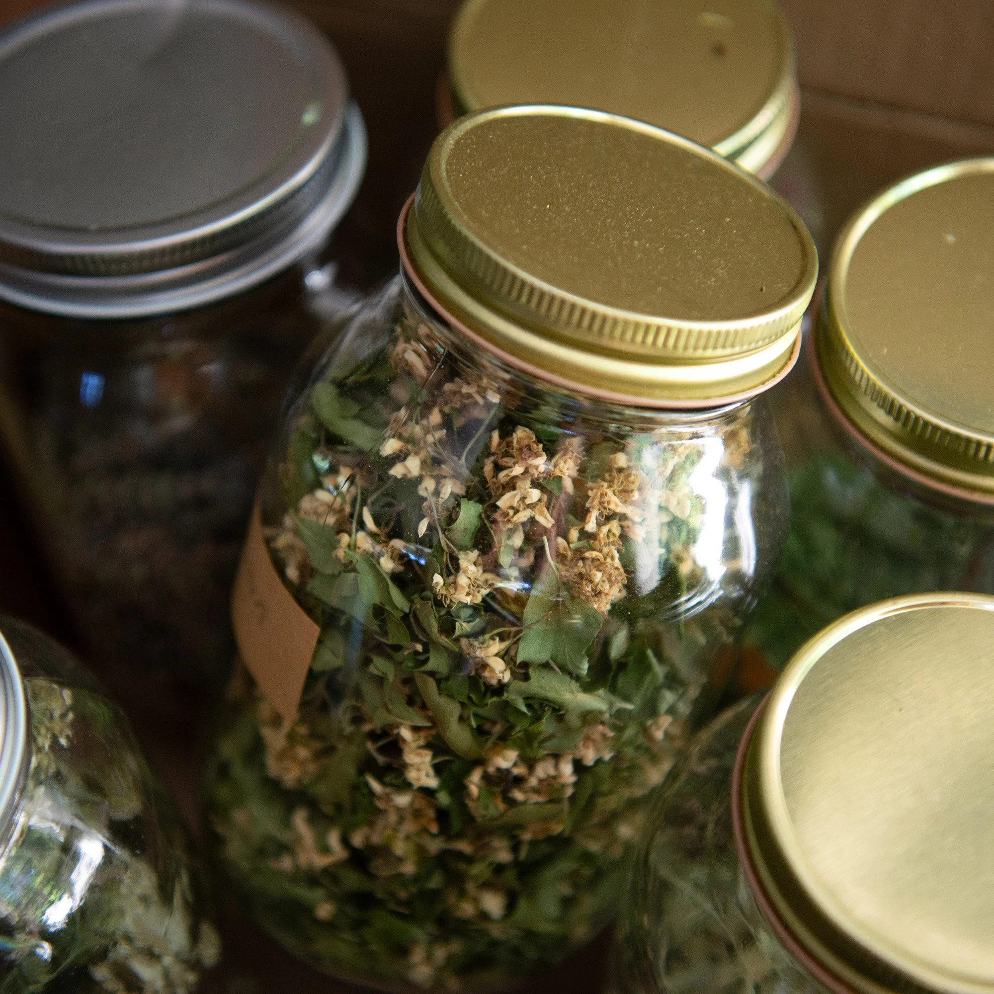 Glass jars with gold lids containing dried herbs or plants.