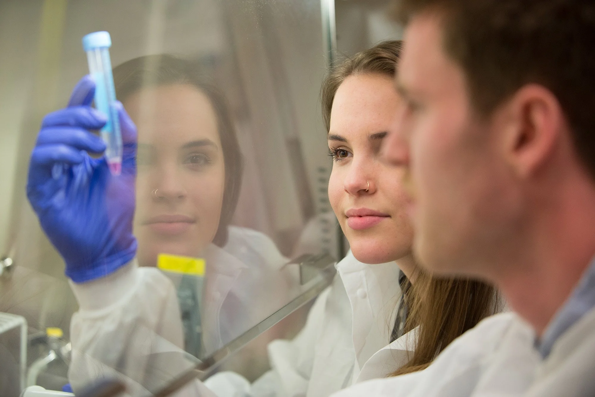 Two scientists, a woman with long hair and a man, working in a laboratory while looking at a test tube through a glass window.