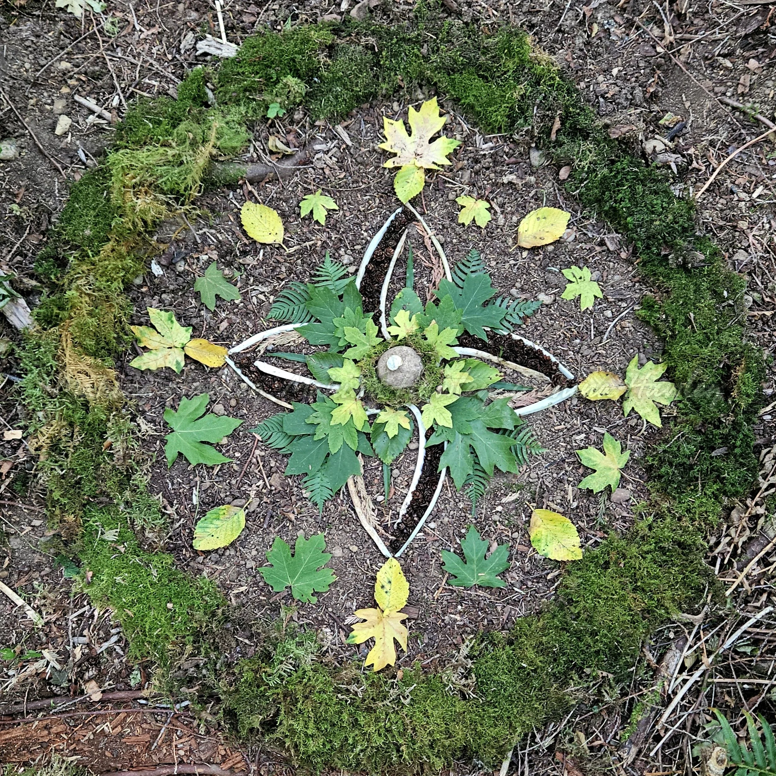 Coyote rib wheel.jpg