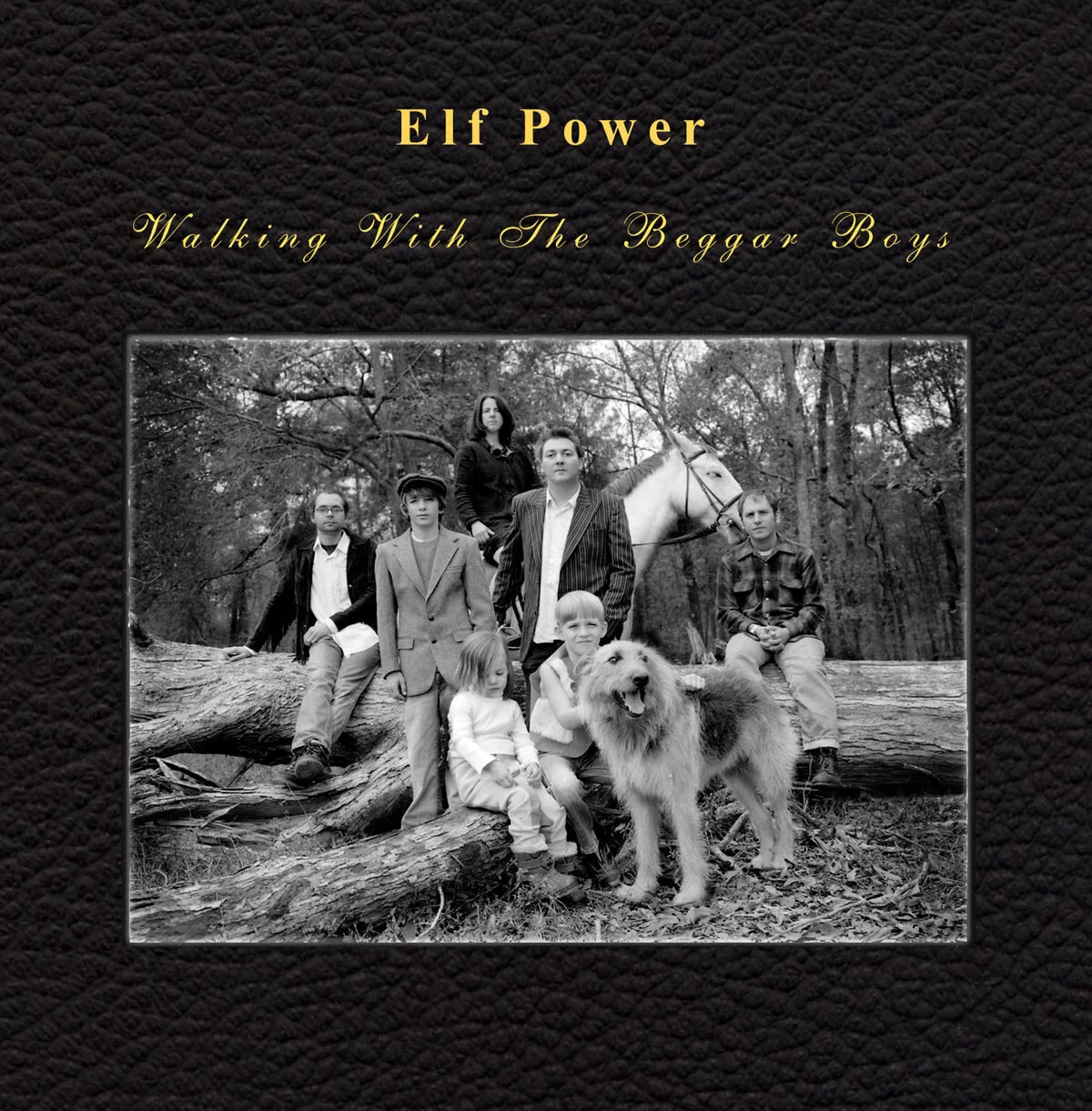 elfpower_walking_lg.jpg
