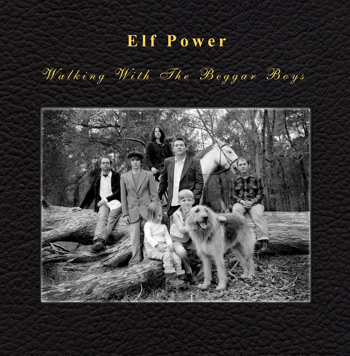 Elf Power - Walking With The Beggar Boys (CD)