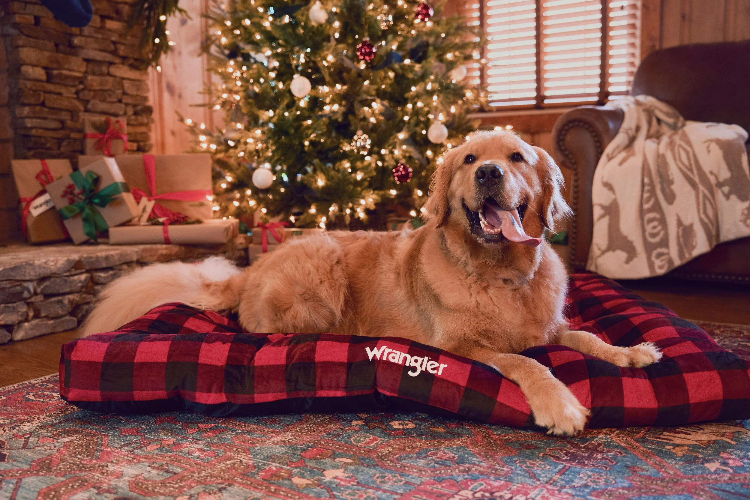 HOLIDAY24_DOG_GIFTS_112366113_9721.jpg
