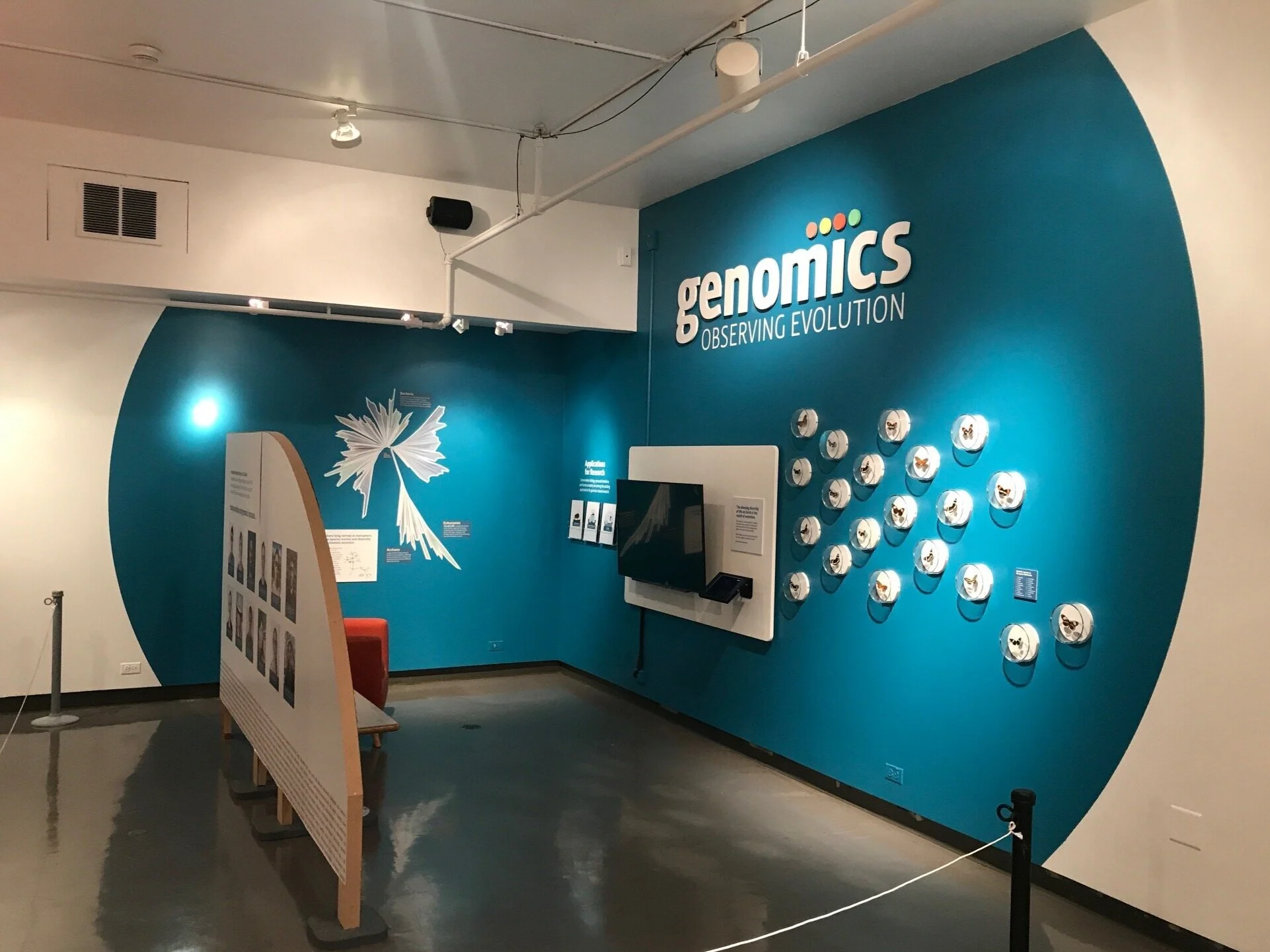 Genomics: Observing Evolution / 
CU Museum of Natural History - 3-D exhibition design, installation coordination, specimen curation and placement