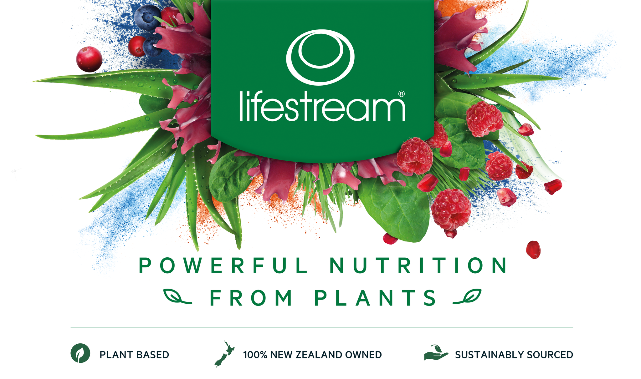 Lifestream Logo (2).png