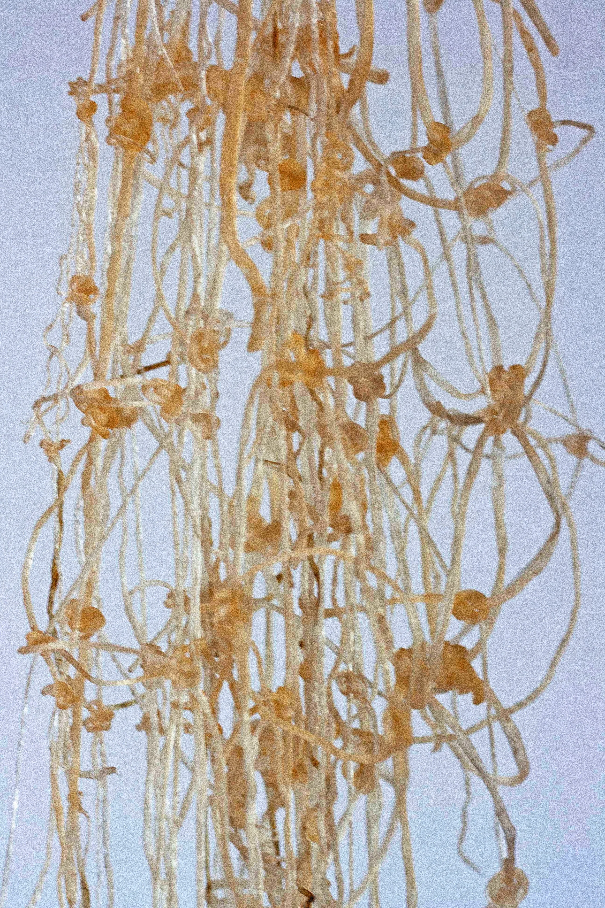 Weaving the Anemoia, 4.jpg