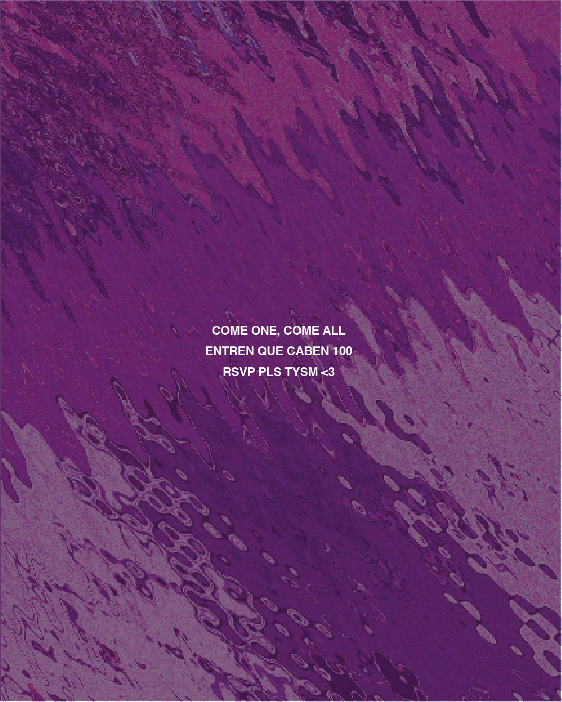 Asset 40@4x.png