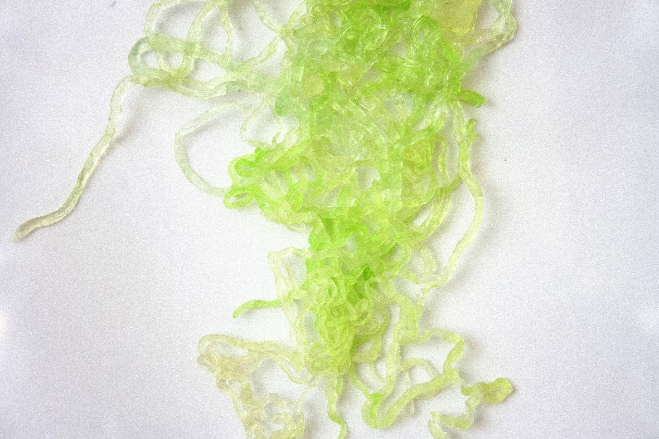 6. La Rita, Detalle.jpg