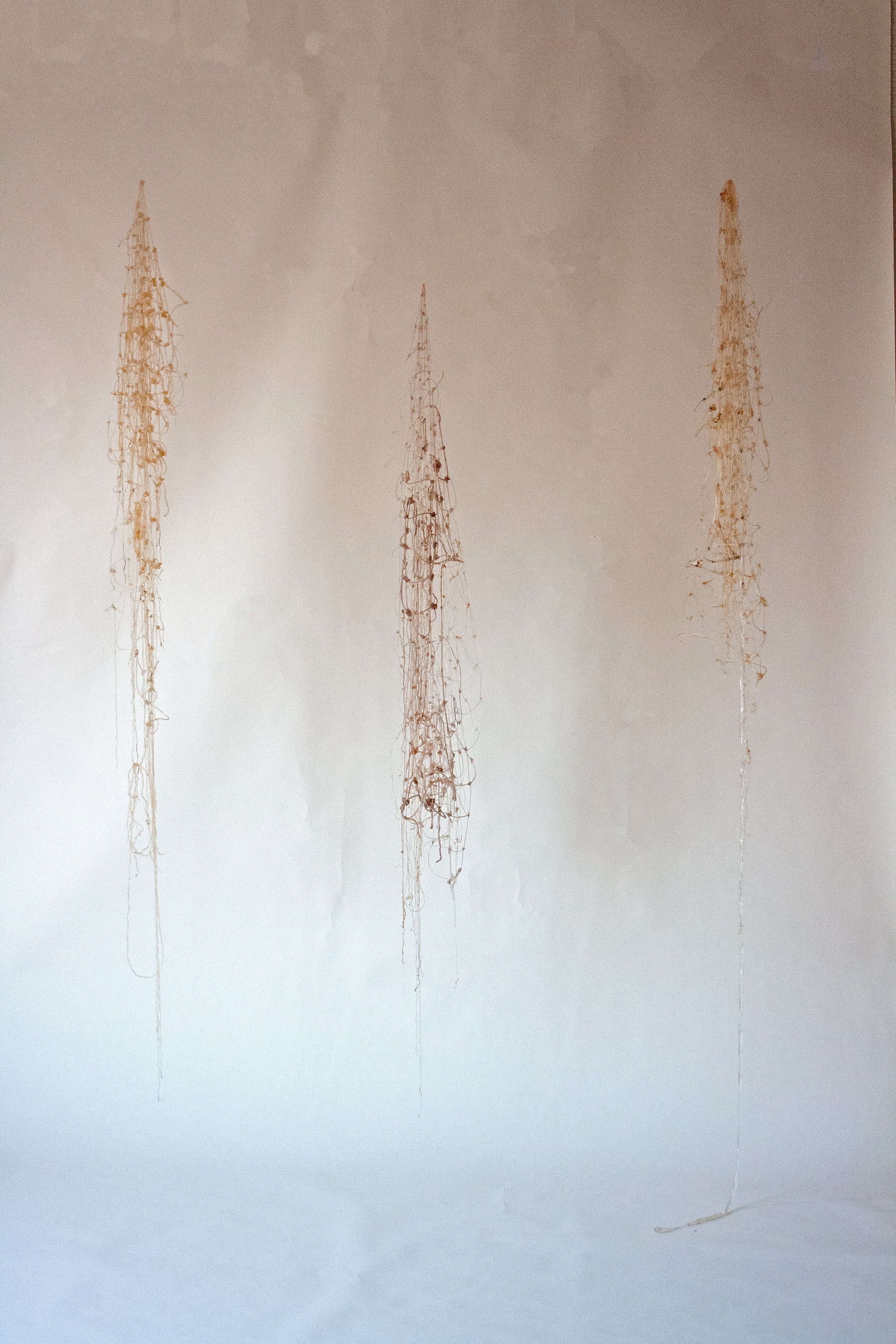 1. Tejiendo la Anemoia 2.jpg