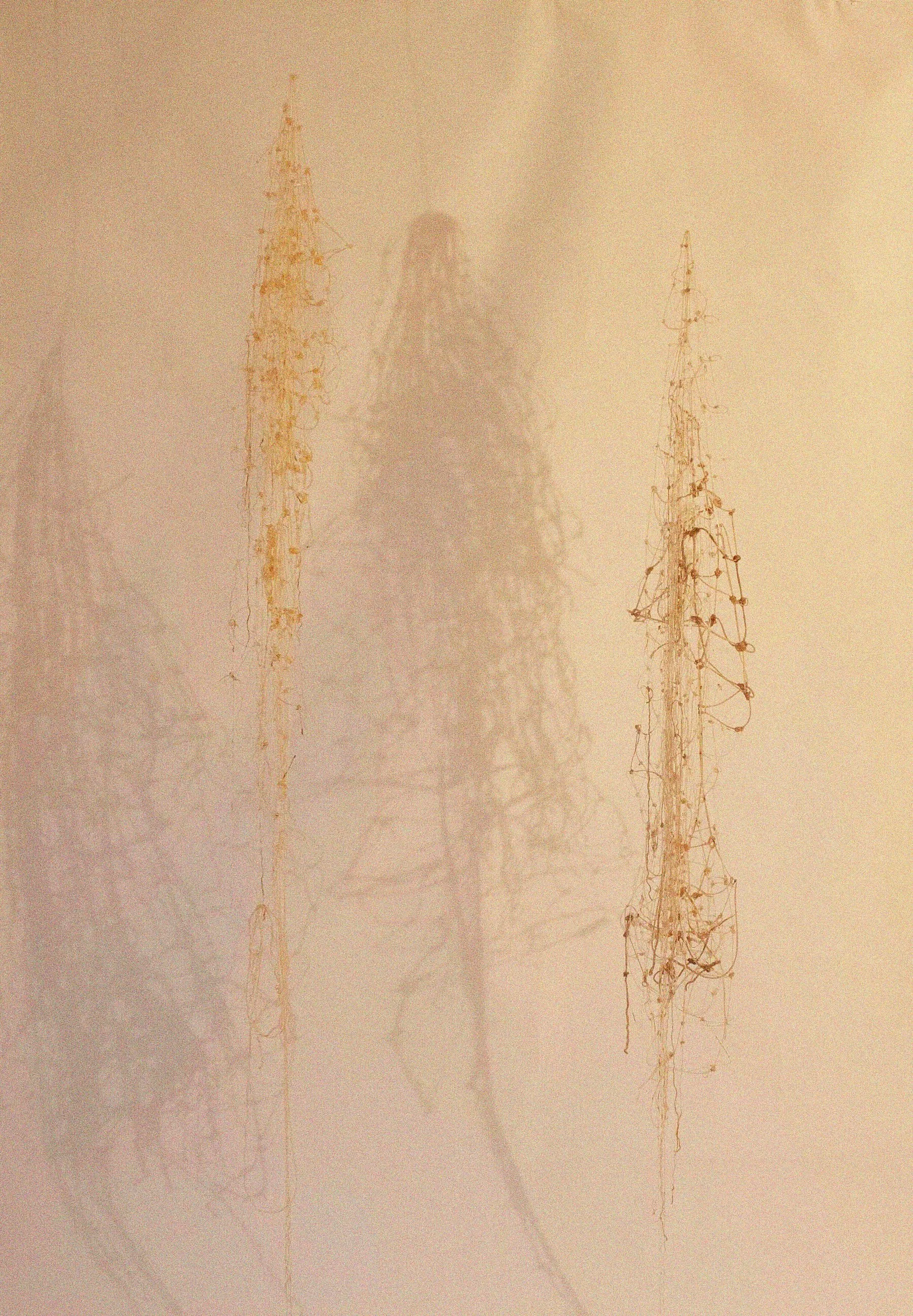 1. Tejiendo la Anemoia (luz artificial).jpg