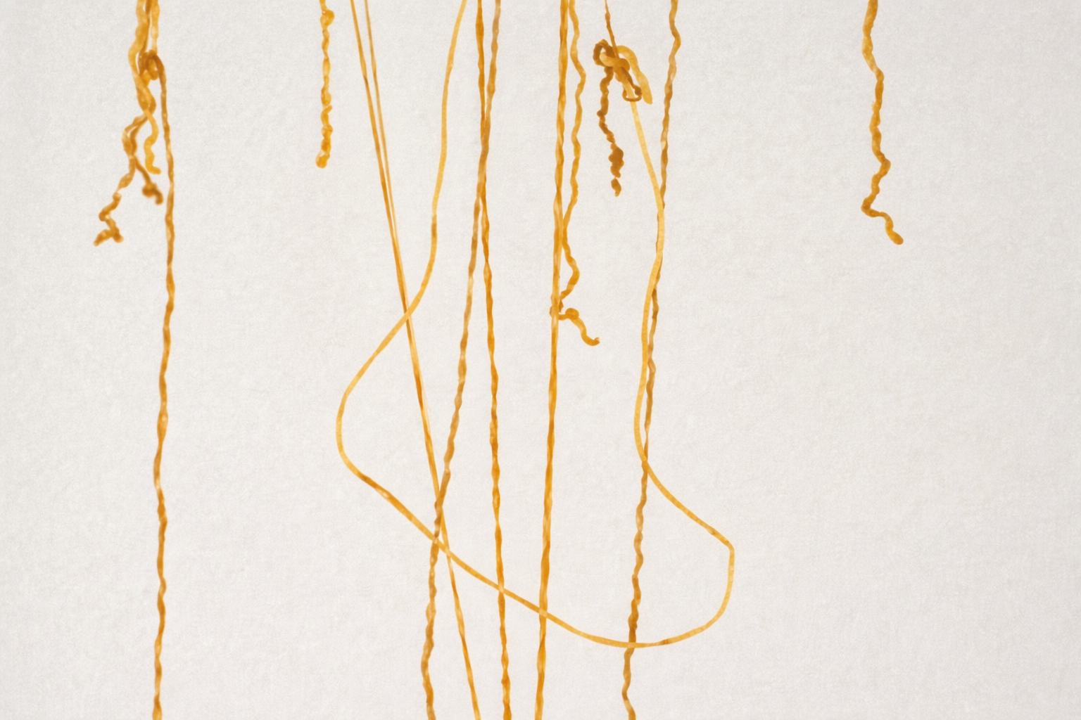Rum_Yarn_Detail.png