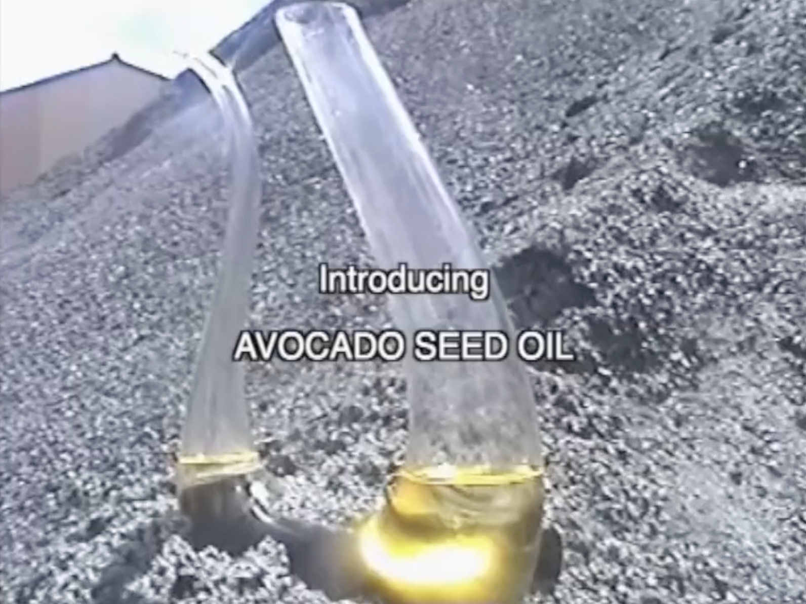 Introducing: Avocado Seed Oil