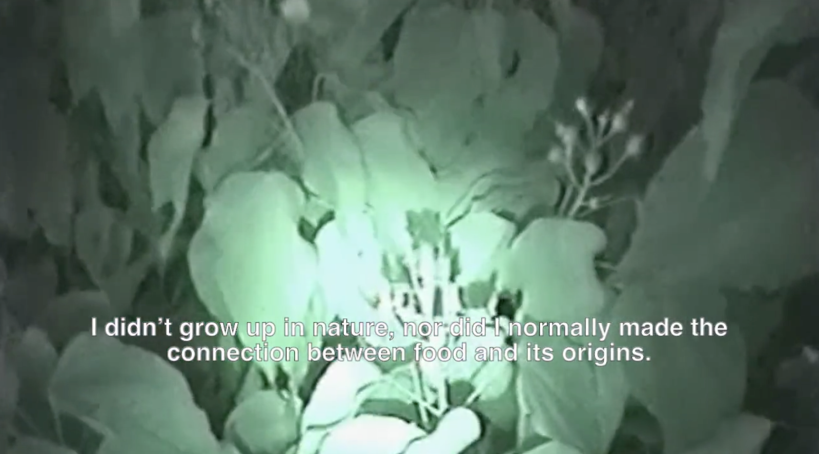 Yuppie Animism (Onoto is Home)