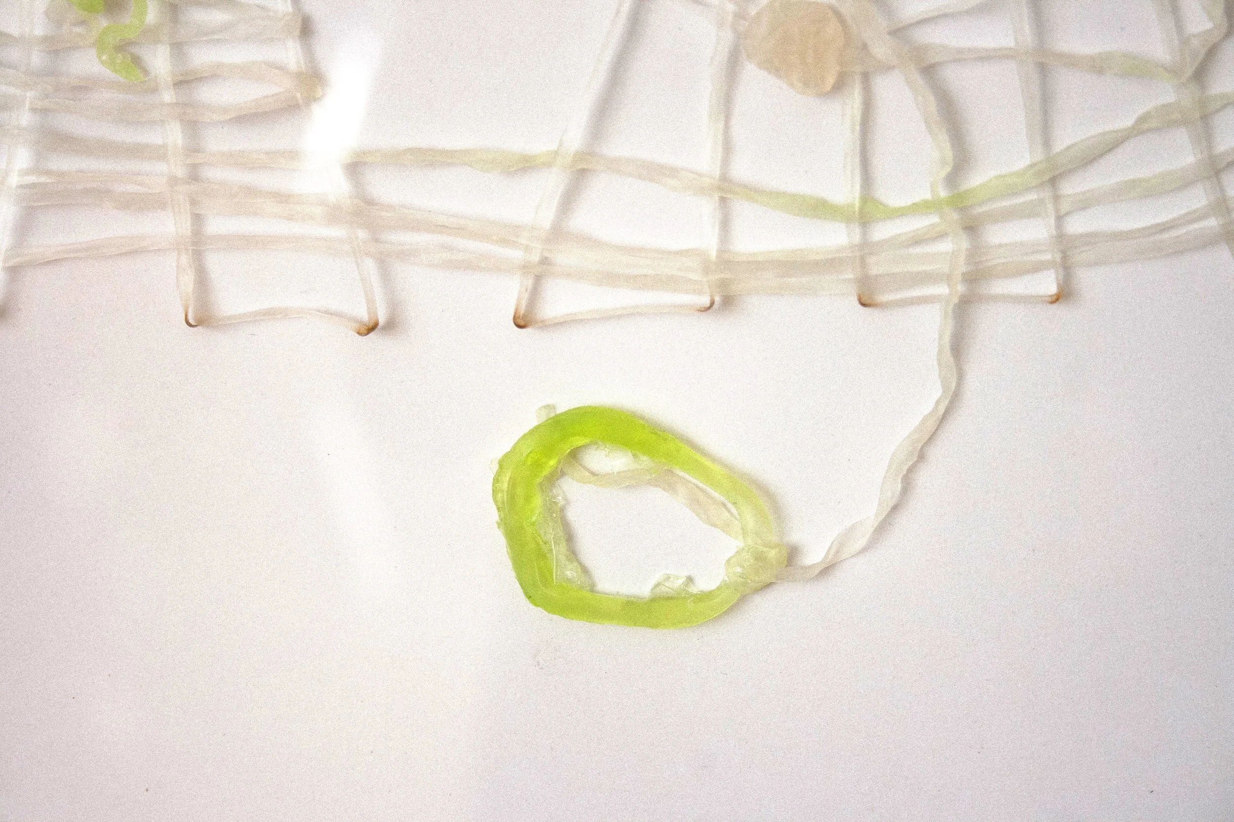 3. Tía Juana, Detalle.jpg