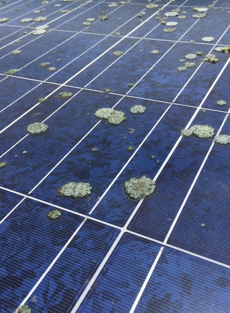 panel mold SolarSpecialtyGroup_103023 copy.jpg