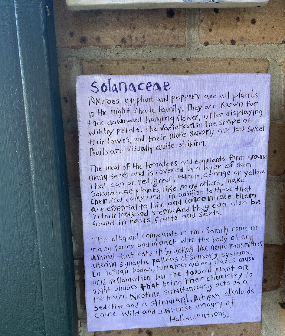 Screen Shot 2020-10-30 at 6.12.54 PM.png