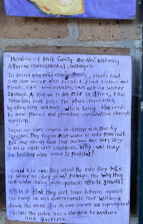 Screen Shot 2020-10-30 at 6.18.27 PM.png