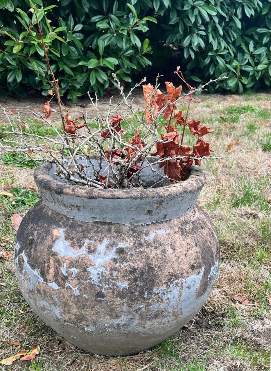 Wabi Sabi's Social Possibility