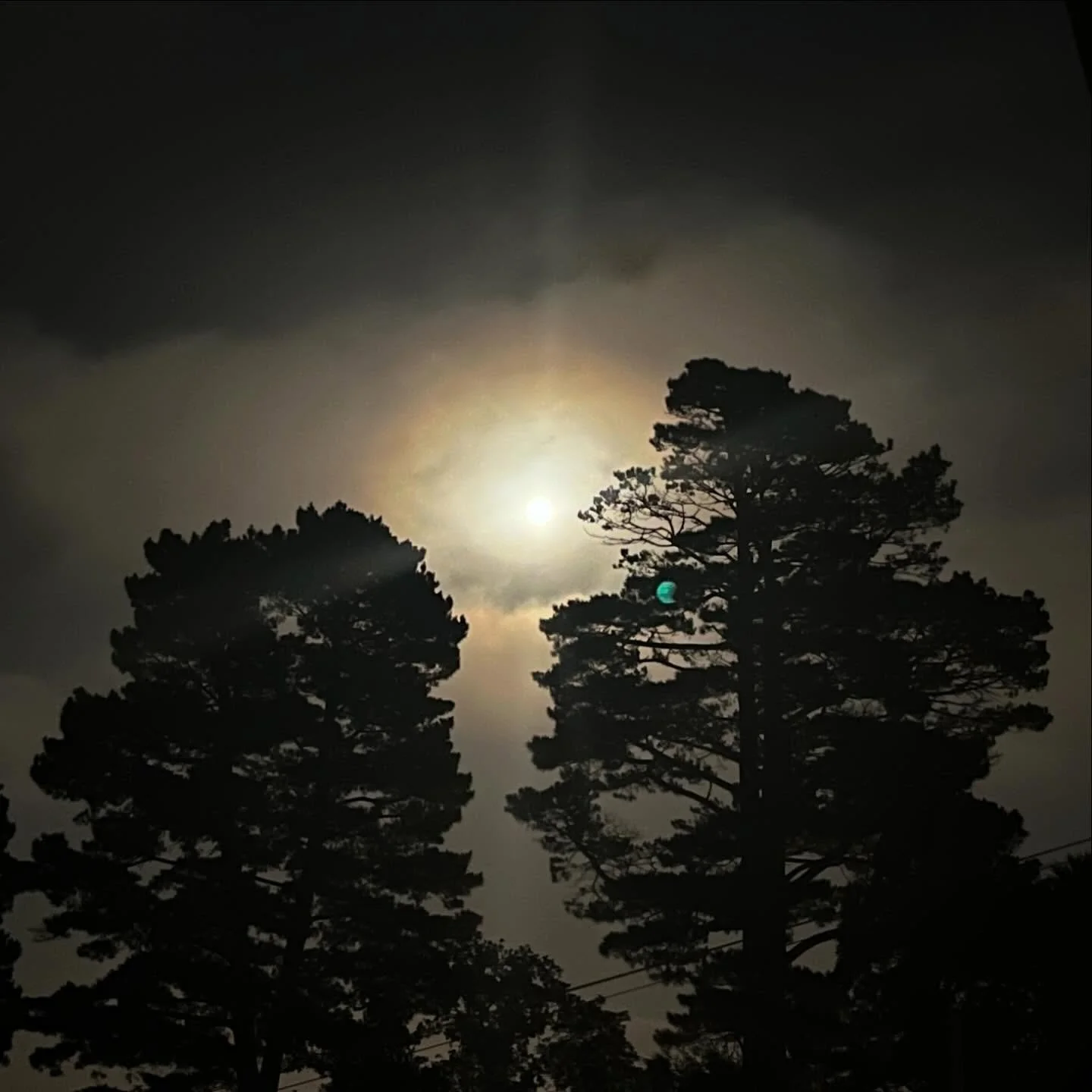 .::Full Moon Eclipse Healing::.
Is there any other kind?!? 
The shifting season, both celestially and right here on earth, is a potent time for our sacred selfcare. Ways to honor that care is to make an altar in everything you do ~ a mindful breath b