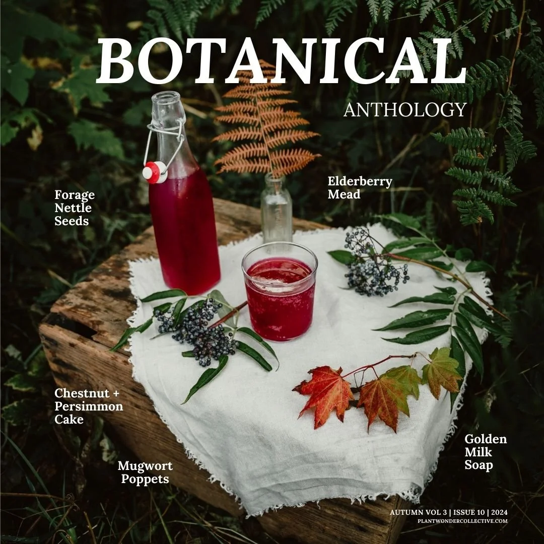 ::BOTANICAL ANTHOLOGY AUTUMN 2024::