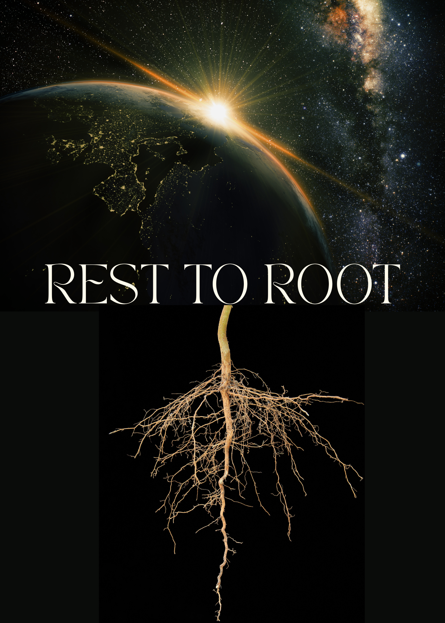 REST TO ROOT ~ WINTER