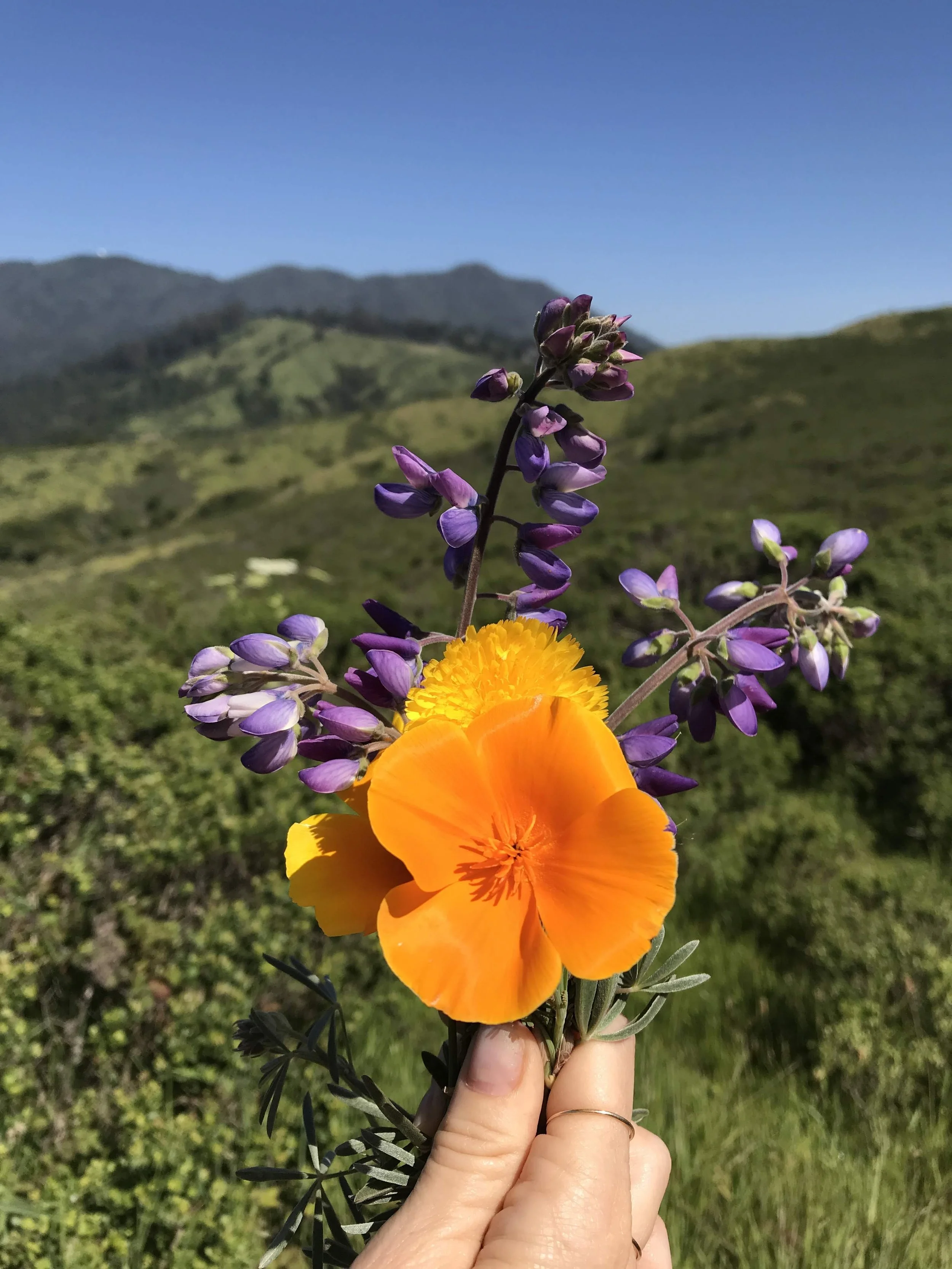 RADIATE &amp; SHARE ~ SUMMER