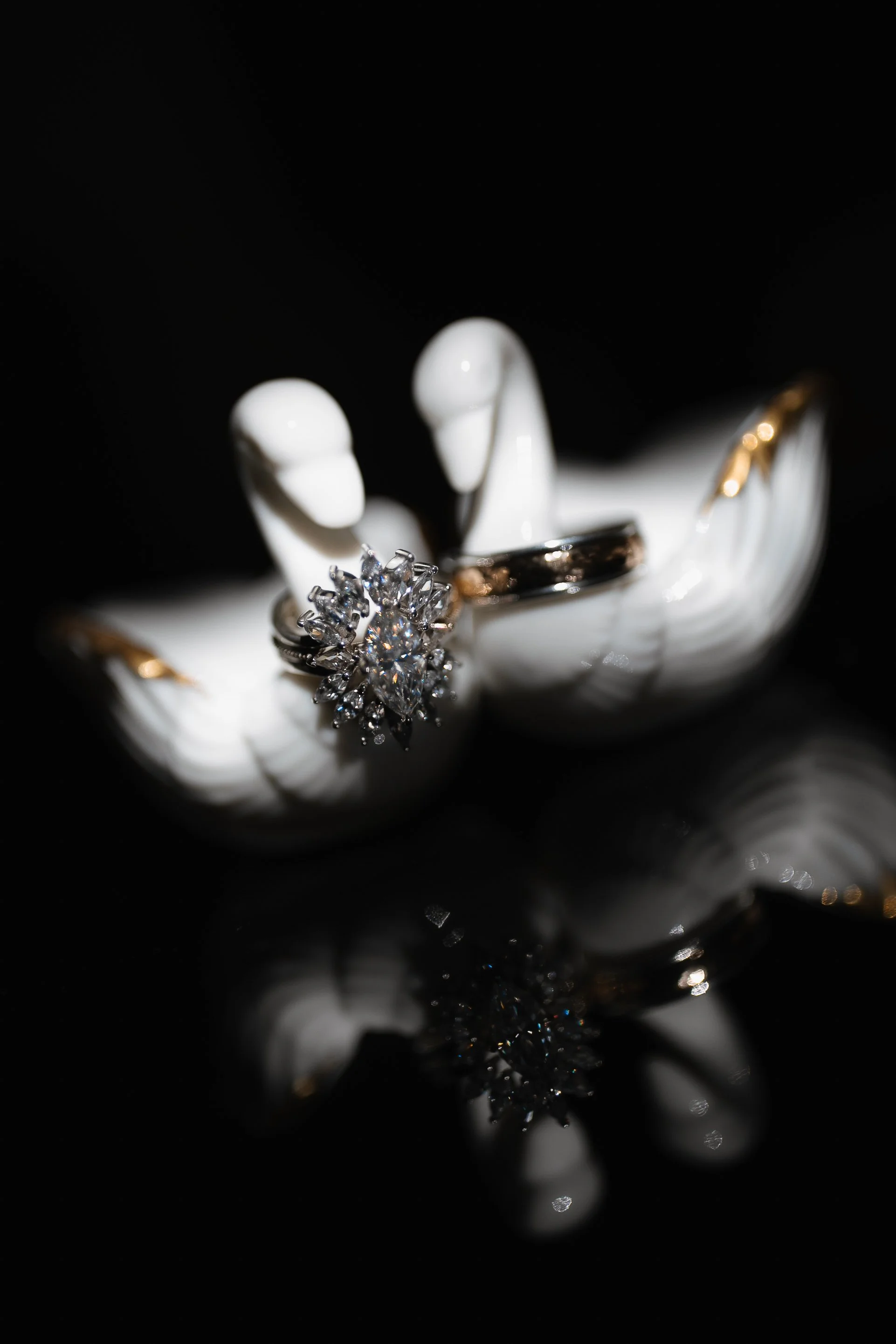 1V0A5102 copy copy.jpg