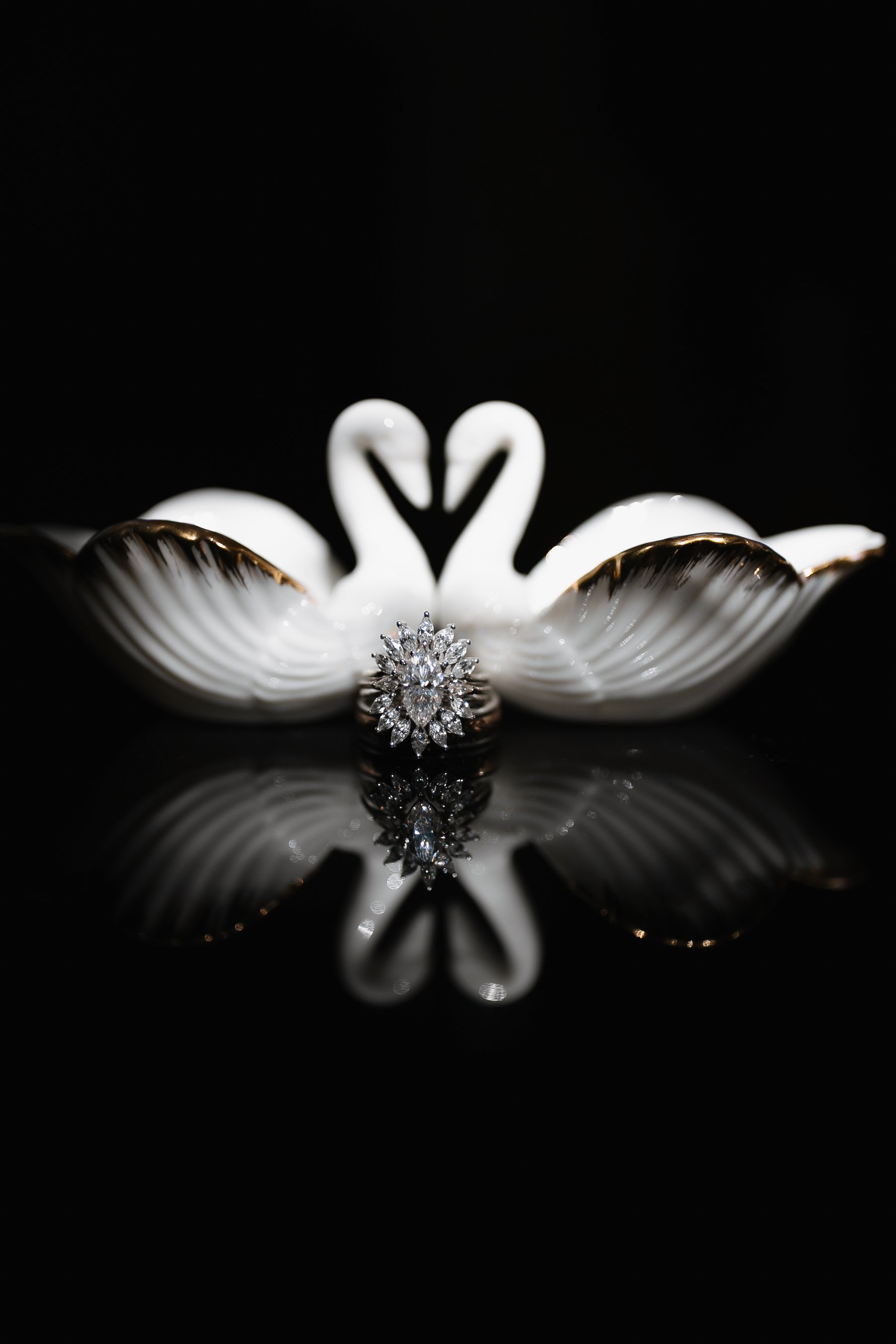 1V0A5114 copy copy.jpg