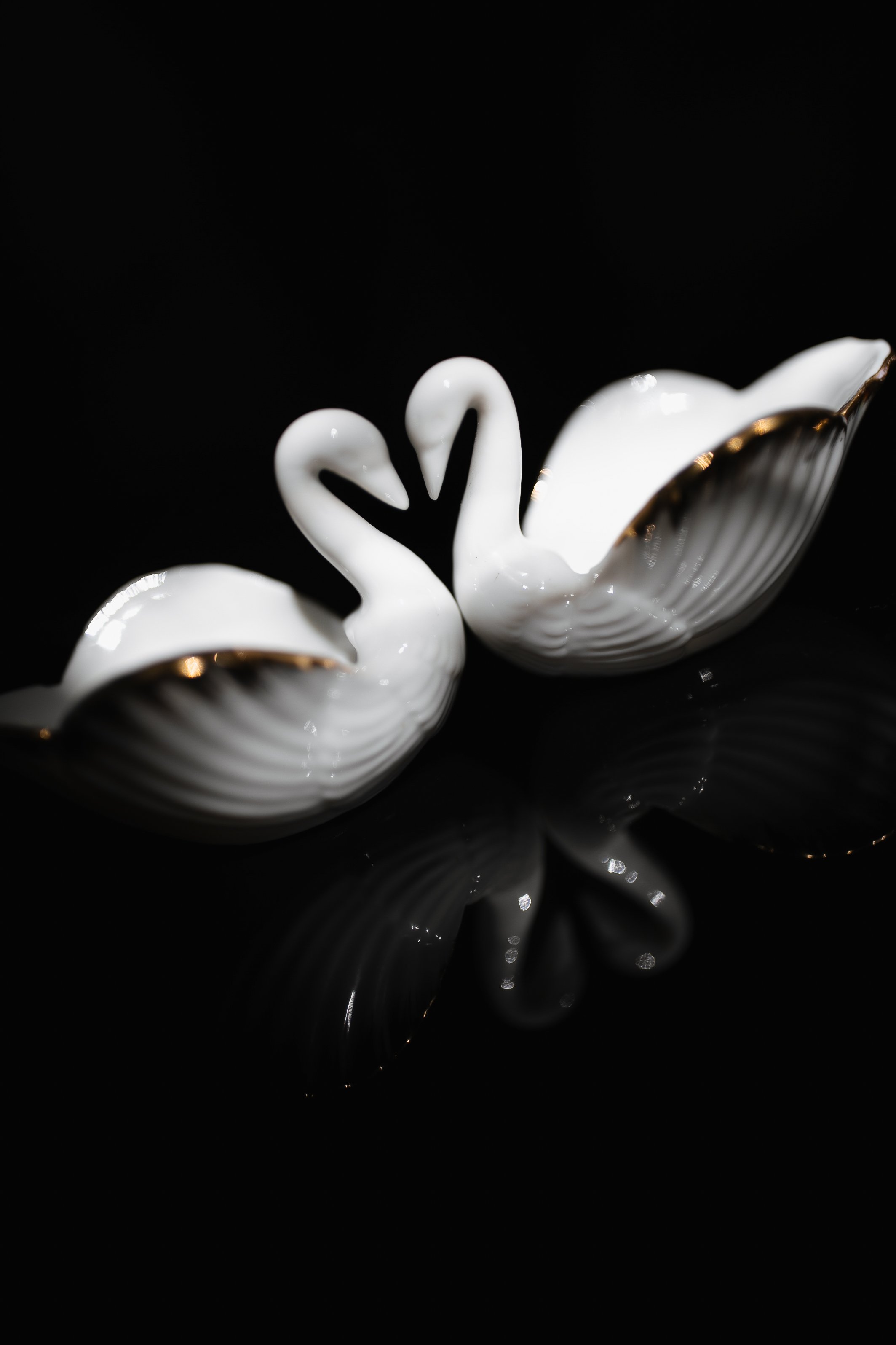 1V0A5121 copy copy.jpg