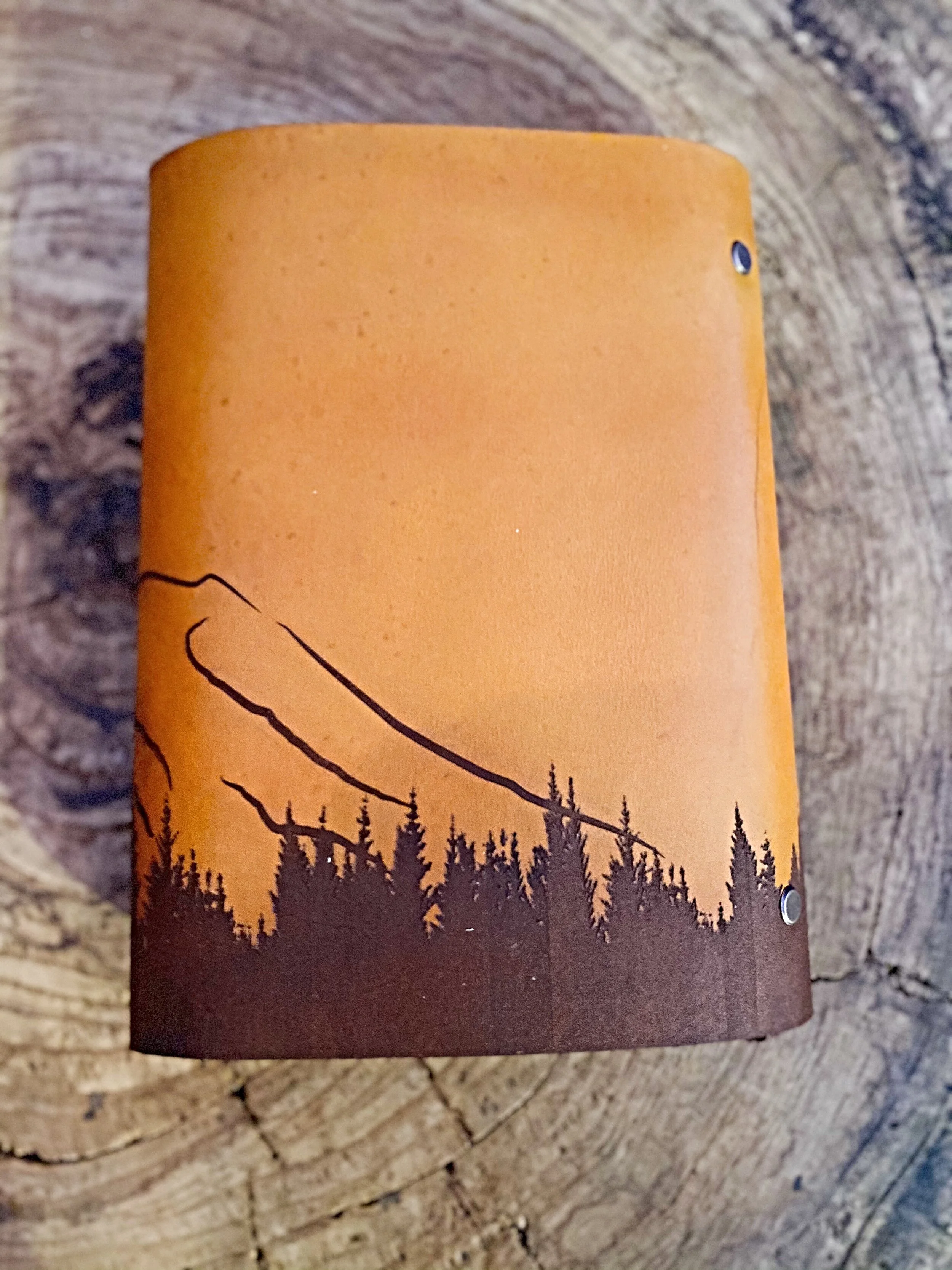 Space Needle Back.jpg