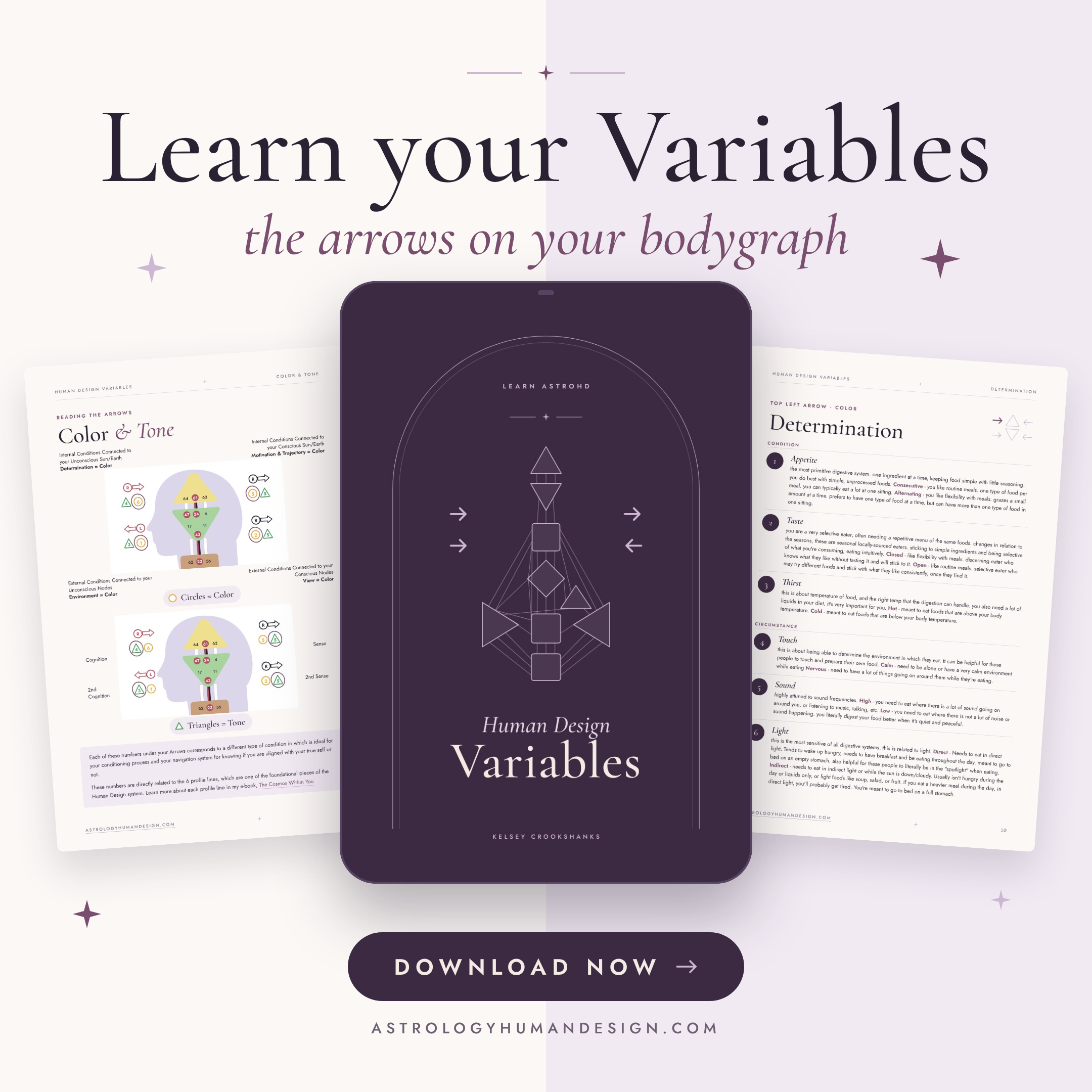 the Human Design Arrows (Variables) e-book