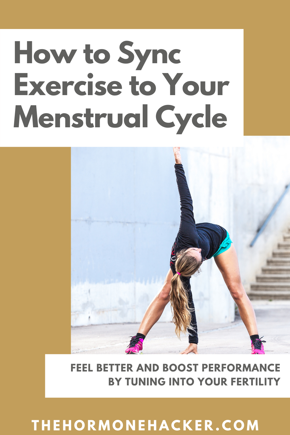 static exercise cycle